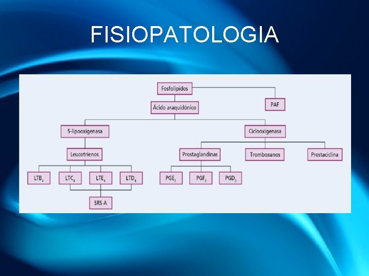 FISIOPATOLOGIA 