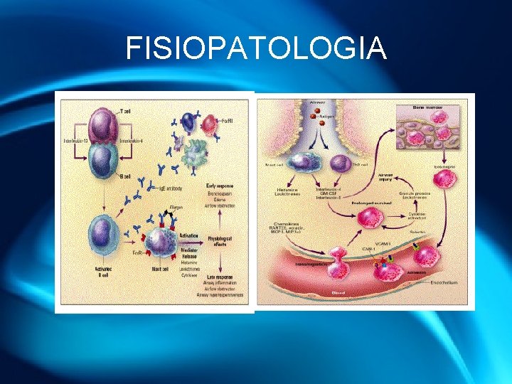FISIOPATOLOGIA 