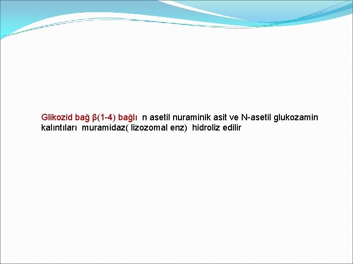 Glikozid bağ β(1 -4) bağlı n asetil nuraminik asit ve N-asetil glukozamin kalıntıları muramidaz(