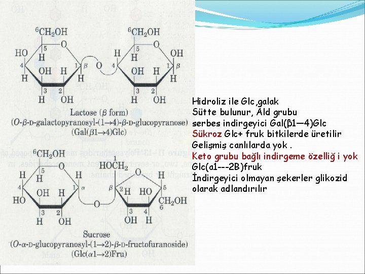 Hidroliz ile Glc, galak Sütte bulunur, Ald grubu serbes indirgeyici Gal(β 1— 4)Glc Sükroz