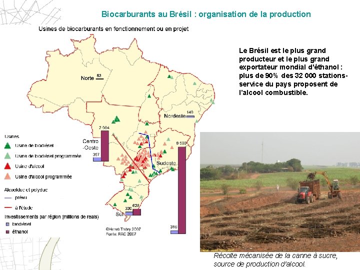Biocarburants au Brésil : organisation de la production Le Brésil est le plus grand