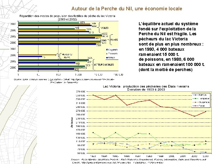 Autour de la Perche du Nil, une économie locale L’équilibre actuel du système fondé