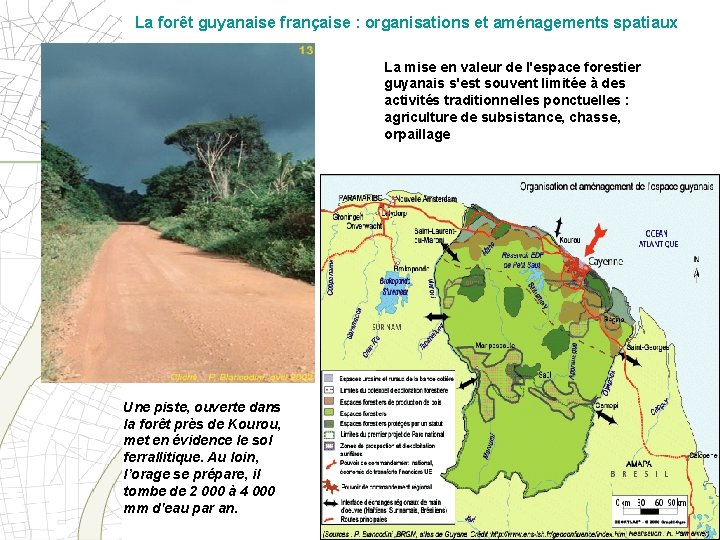 La forêt guyanaise française : organisations et aménagements spatiaux La mise en valeur de