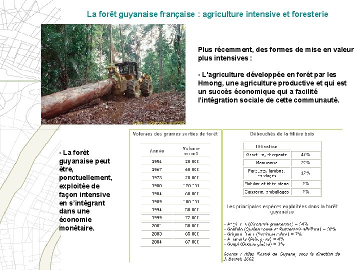 La forêt guyanaise française : agriculture intensive et foresterie Plus récemment, des formes de
