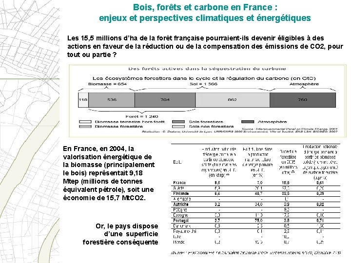 Bois, forêts et carbone en France : enjeux et perspectives climatiques et énergétiques Les