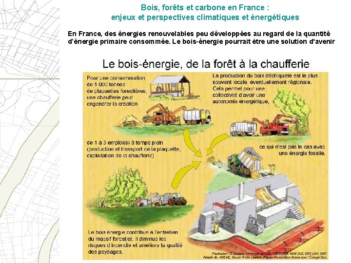 Bois, forêts et carbone en France : enjeux et perspectives climatiques et énergétiques En