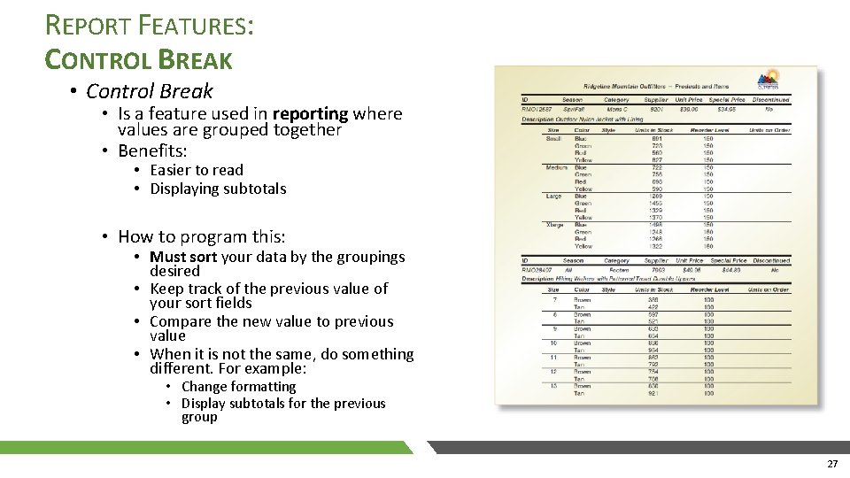 REPORT FEATURES: CONTROL BREAK • Control Break • Is a feature used in reporting