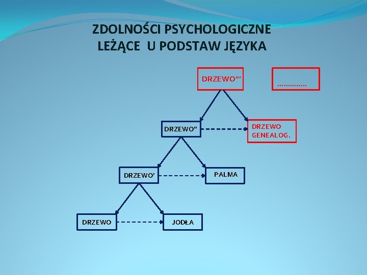 ZDOLNOŚCI PSYCHOLOGICZNE LEŻĄCE U PODSTAW JĘZYKA DRZEWO’’’ DRZEWO GENEALOG. DRZEWO’’ PALMA DRZEWO’ DRZEWO JODŁA