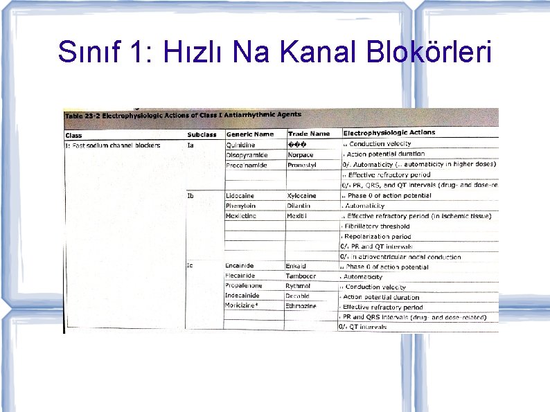 Sınıf 1: Hızlı Na Kanal Blokörleri 