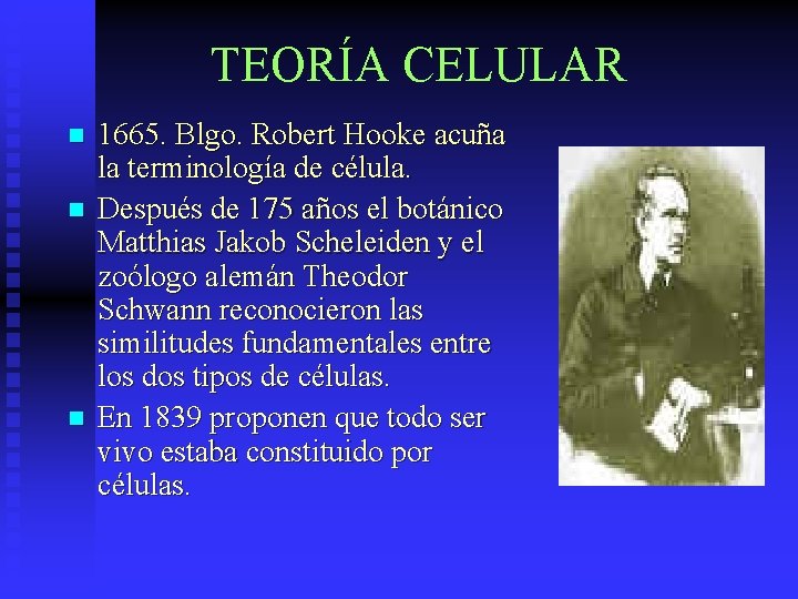 TEORÍA CELULAR n n n 1665. Blgo. Robert Hooke acuña la terminología de célula.