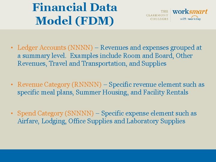 Financial Data Model (FDM) • Ledger Accounts (NNNN) – Revenues and expenses grouped at