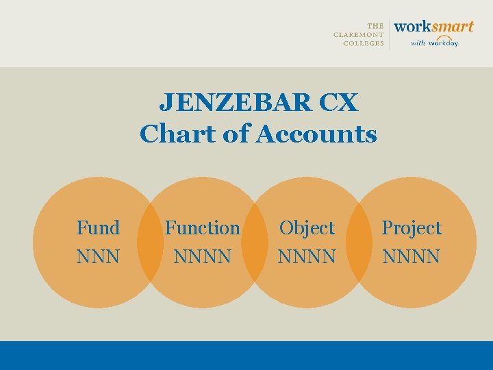 JENZEBAR CX Chart of Accounts Fund Function Object Project NNNN 