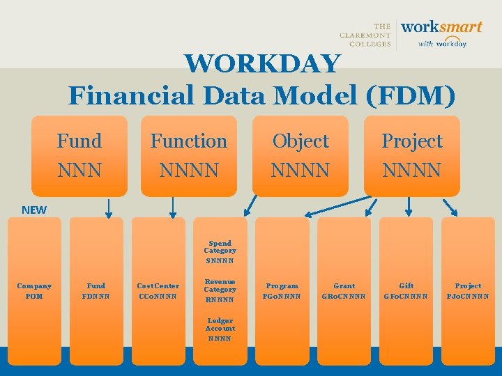WORKDAY Financial Data Model (FDM) Fund Function Object Project NNNN NEW Spend Category SNNNN
