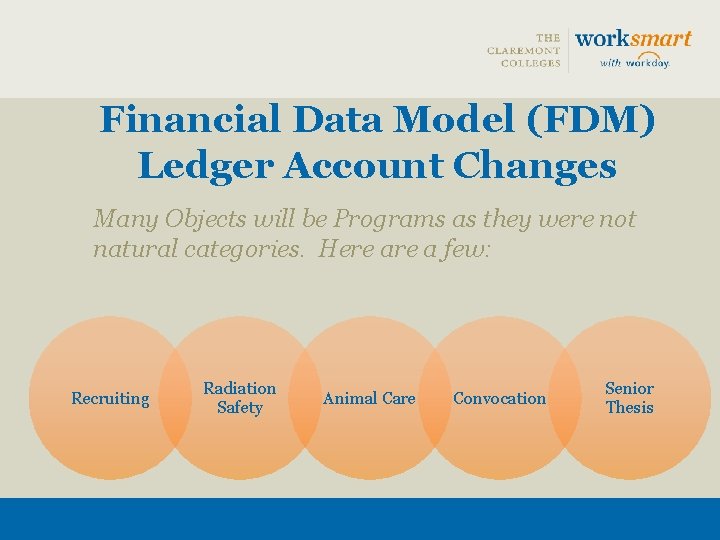 Financial Data Model (FDM) Ledger Account Changes Many Objects will be Programs as they