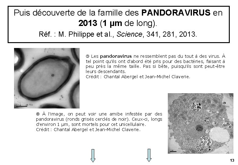 Puis découverte de la famille des PANDORAVIRUS en 2013 (1 µm de long). Réf.