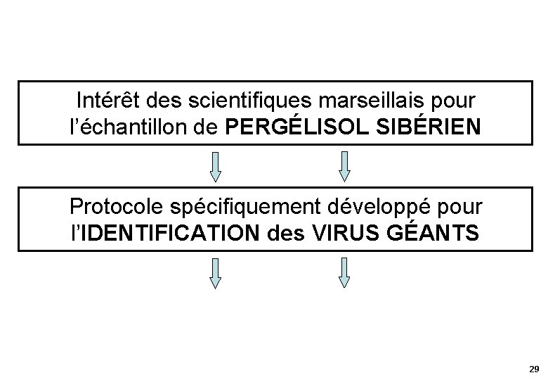 Intérêt des scientifiques marseillais pour l’échantillon de PERGÉLISOL SIBÉRIEN Protocole spécifiquement développé pour l’IDENTIFICATION