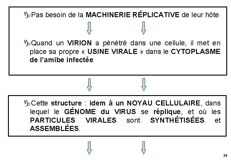  Pas besoin de la MACHINERIE RÉPLICATIVE de leur hôte Quand un VIRION a