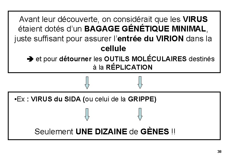 Avant leur découverte, on considérait que les VIRUS étaient dotés d’un BAGAGE GÉNÉTIQUE MINIMAL,