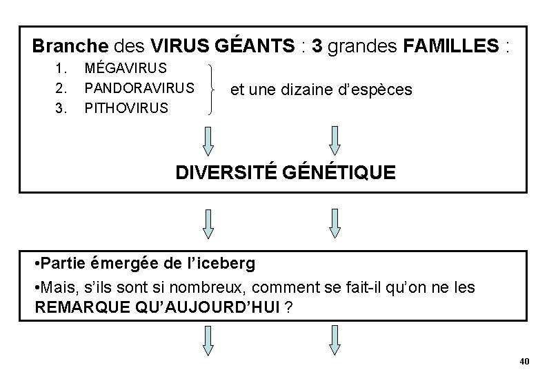 Branche des VIRUS GÉANTS : 3 grandes FAMILLES : 1. 2. 3. MÉGAVIRUS PANDORAVIRUS