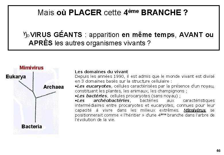 Mais où PLACER cette 4ème BRANCHE ? VIRUS GÉANTS : apparition en même temps,