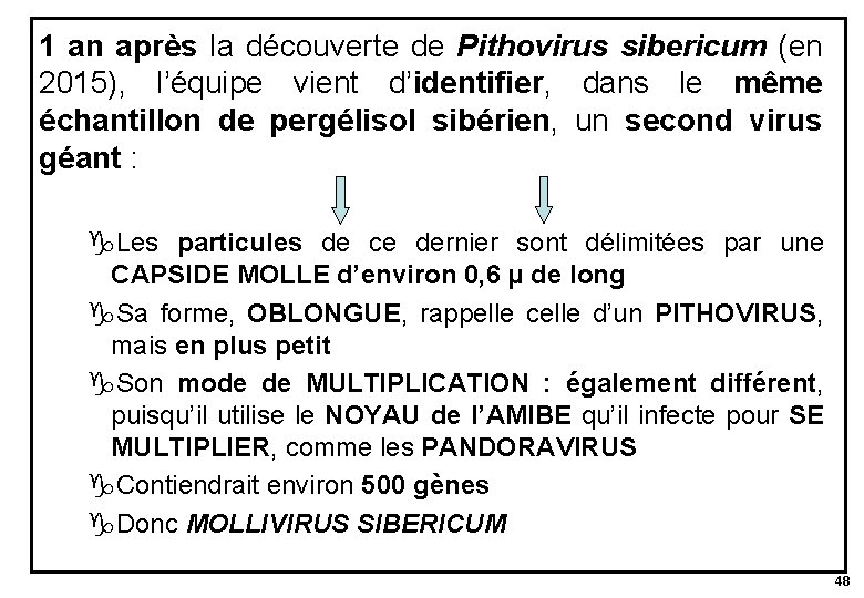 1 an après la découverte de Pithovirus sibericum (en 2015), l’équipe vient d’identifier, dans