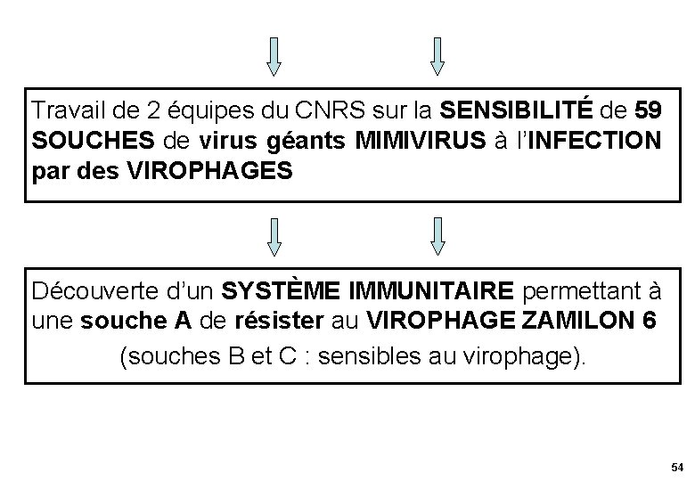 Travail de 2 équipes du CNRS sur la SENSIBILITÉ de 59 SOUCHES de virus