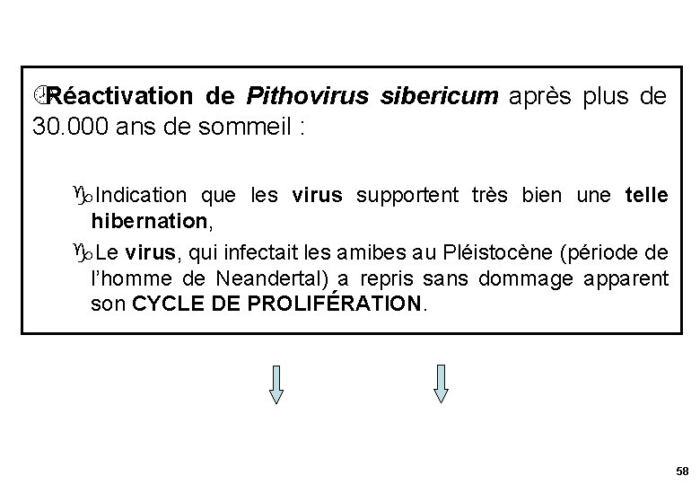 ¾Réactivation de Pithovirus sibericum après plus de 30. 000 ans de sommeil : Indication