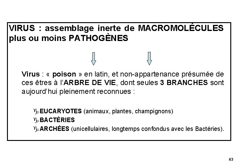 VIRUS : assemblage inerte de MACROMOLÉCULES plus ou moins PATHOGÈNES Virus : « poison