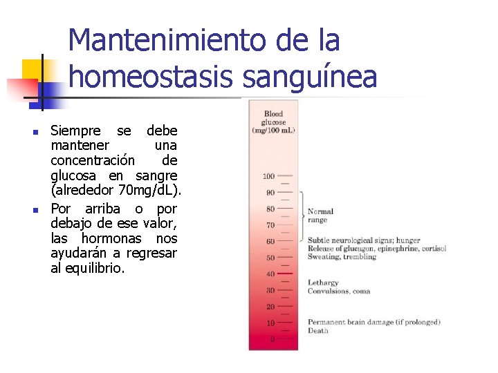 Mantenimiento de la homeostasis sanguínea n n Siempre se debe mantener una concentración de