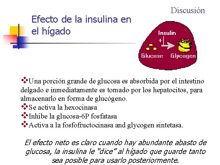 Efecto de la insulina en el hígado Discusión v. Una porción grande de glucosa