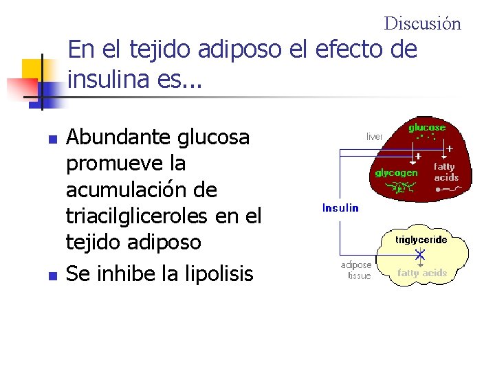 Discusión En el tejido adiposo el efecto de insulina es. . . n n