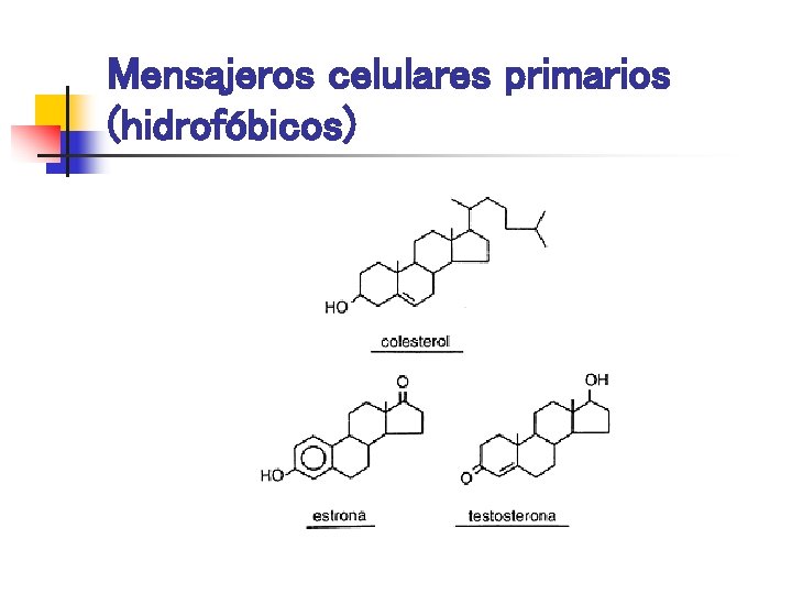 Mensajeros celulares primarios (hidrofóbicos) 