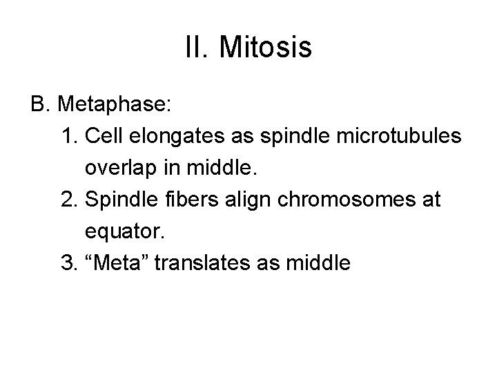 II. Mitosis B. Metaphase: 1. Cell elongates as spindle microtubules overlap in middle. 2.