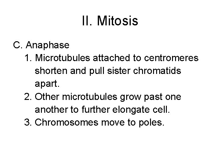 II. Mitosis C. Anaphase 1. Microtubules attached to centromeres shorten and pull sister chromatids
