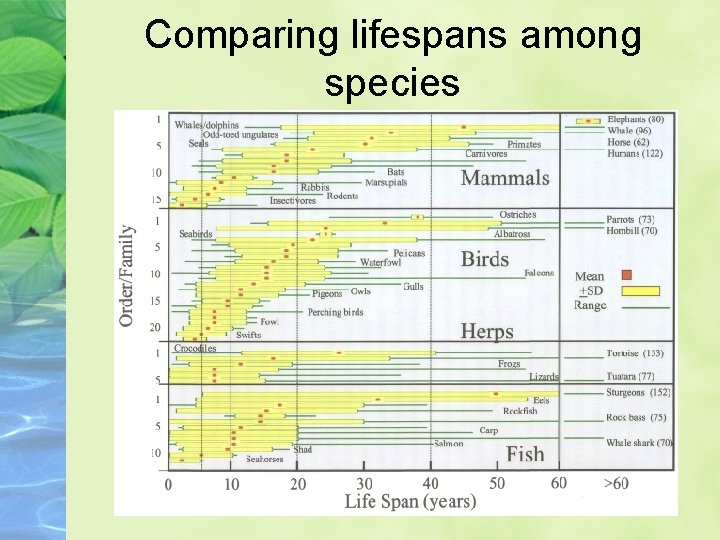 Comparing lifespans among species 