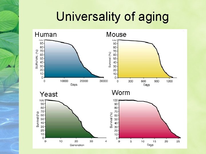 Universality of aging Human Yeast Mouse Worm 