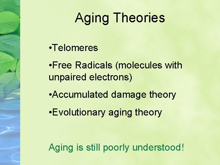 Aging Theories • Telomeres • Free Radicals (molecules with unpaired electrons) • Accumulated damage