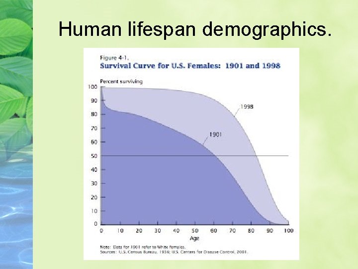 Human lifespan demographics. 