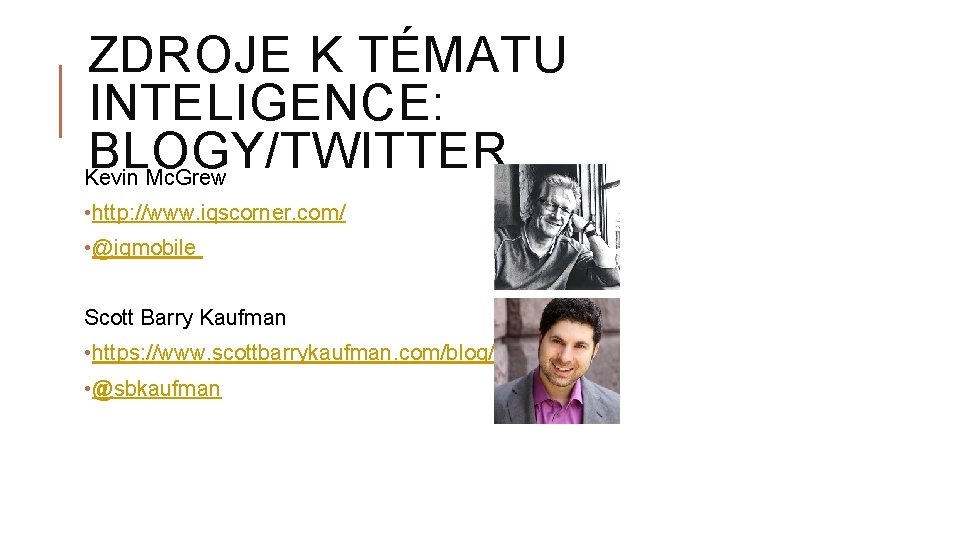 ZDROJE K TÉMATU INTELIGENCE: BLOGY/TWITTER Kevin Mc. Grew • http: //www. iqscorner. com/ •