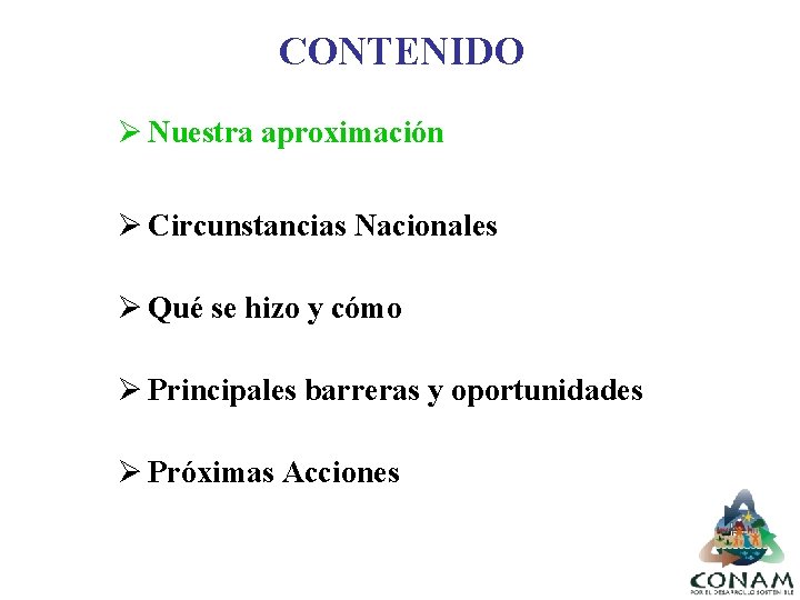 CONTENIDO Ø Nuestra aproximación Ø Circunstancias Nacionales Ø Qué se hizo y cómo Ø