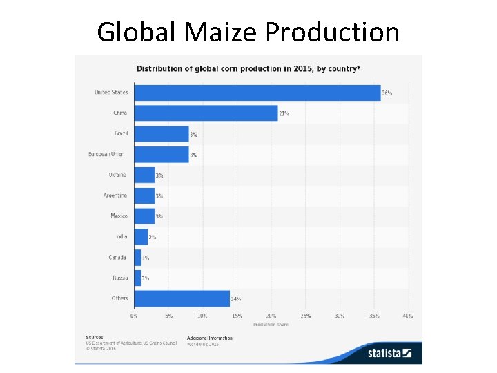 Global Maize Production 