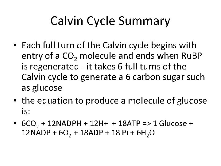 Calvin Cycle Summary • Each full turn of the Calvin cycle begins with entry
