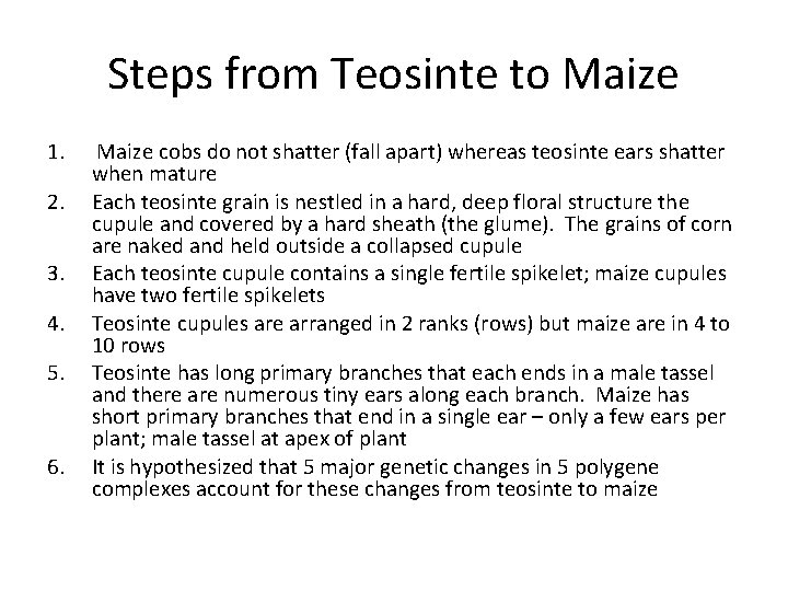 Steps from Teosinte to Maize 1. 2. 3. 4. 5. 6. Maize cobs do