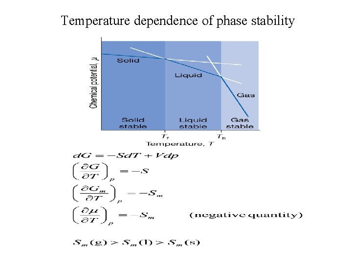 Temperature dependence of phase stability 