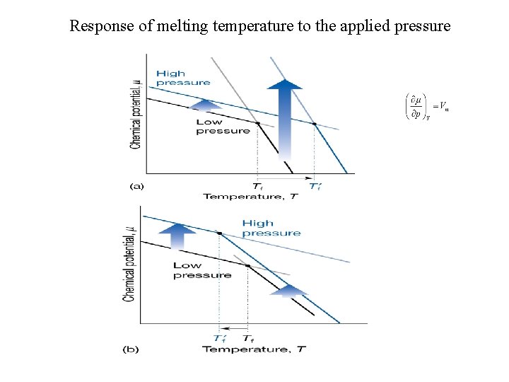 Response of melting temperature to the applied pressure 