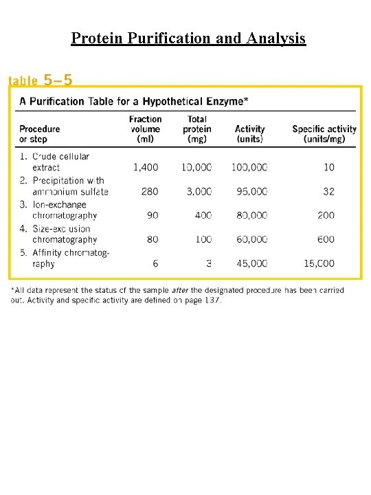 Protein Purification and Analysis 