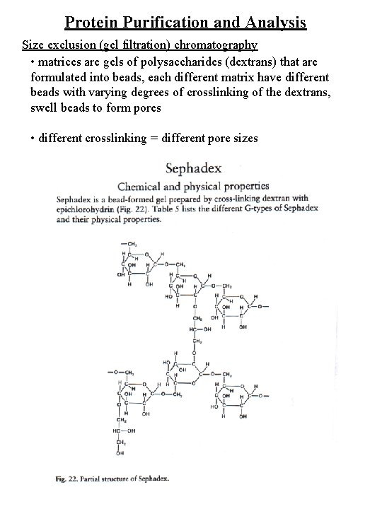 Protein Purification and Analysis Size exclusion (gel filtration) chromatography • matrices are gels of