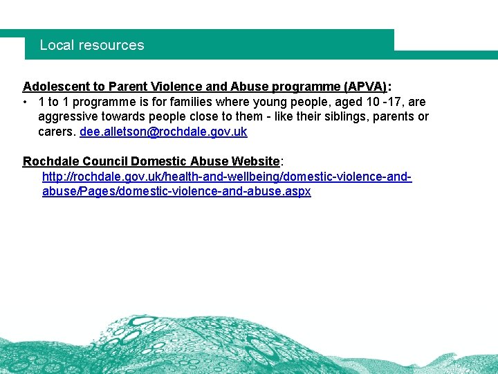 Local resources Adolescent to Parent Violence and Abuse programme (APVA): • 1 to 1