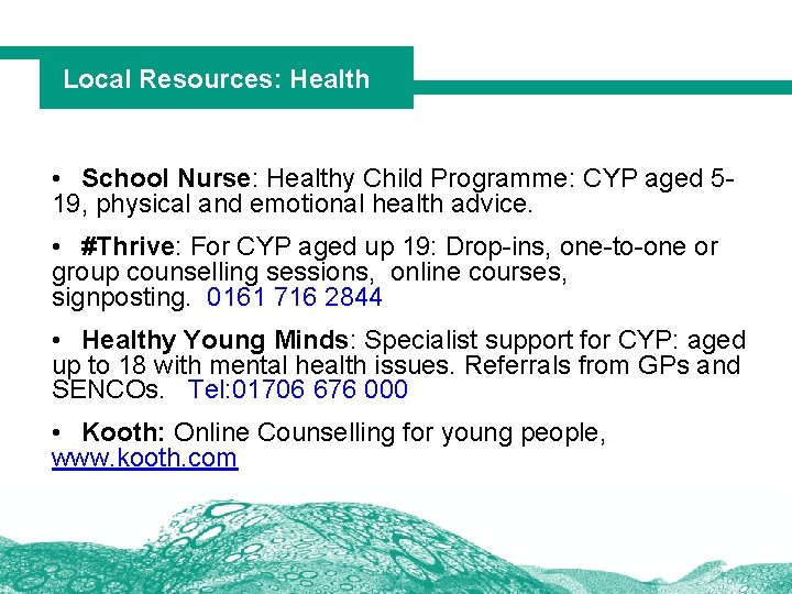 Local Resources: Health • School Nurse: Healthy Child Programme: CYP aged 519, physical and