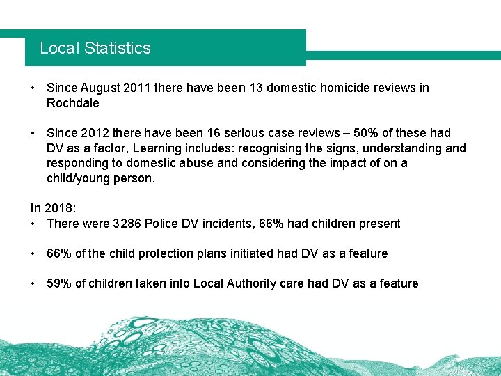 Local Statistics • Since August 2011 there have been 13 domestic homicide reviews in